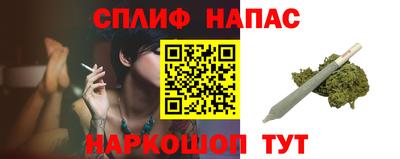 шишки Лесосибирск