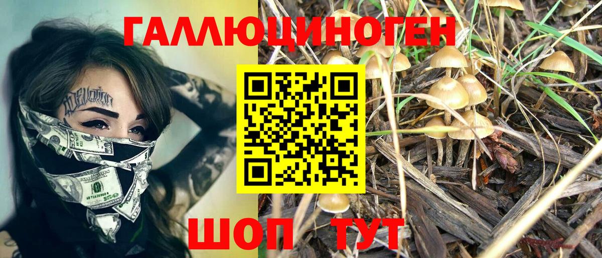 Галлюциногенные грибы Psilocybe  где можно купить наркотик  Армавир  Вход с VPN 